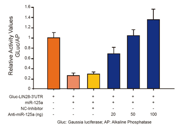 OmicsLink? miRNA inhibitor clones